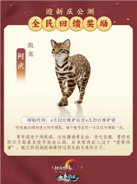 跃兔天龙八部私服